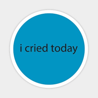 I Cried Today Magnet